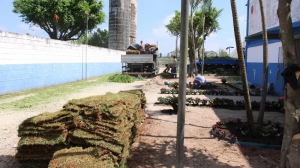 Paisagismo, Poda E Capinação Paulo Nunes 18-01