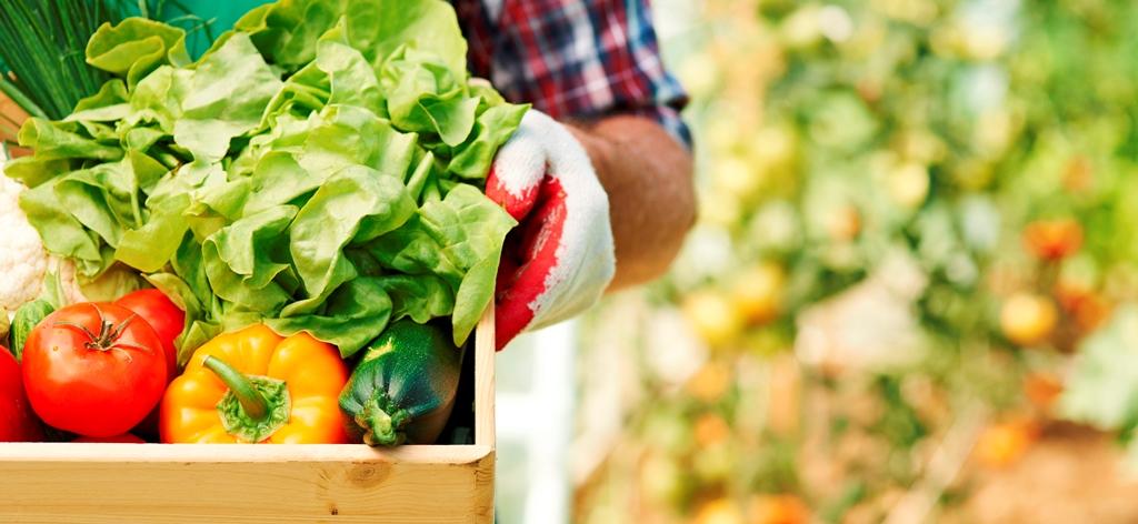 Publicado o Edital - Chamada Pública 01/2022 - Agricultura Familiar