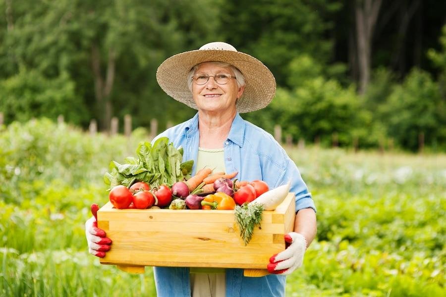 Chamada Pública n. A112O22, para aquisição de gêneros alimentícios diretamente da Agricultura Familiar