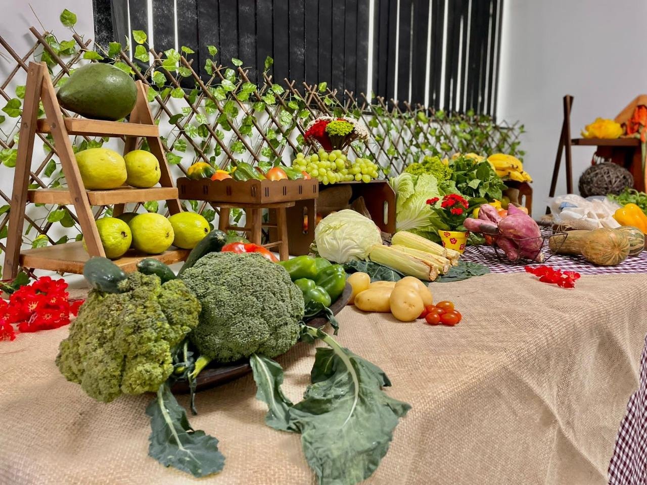 Após sete anos, alimentos da agricultura familiar voltam a ser inseridos na merenda das escolas municipais